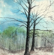 Beech-Trees-ink-and-charcoal