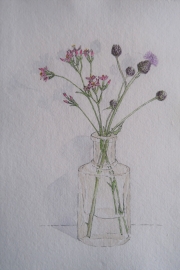 Wildflowers-in-old-perfume-bottle-pen-and-watercolour