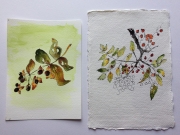 Pen-and-wash-autumn-leaves-and-berries-workshop-3